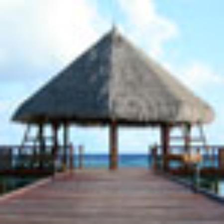 Moe's Southwest Grill